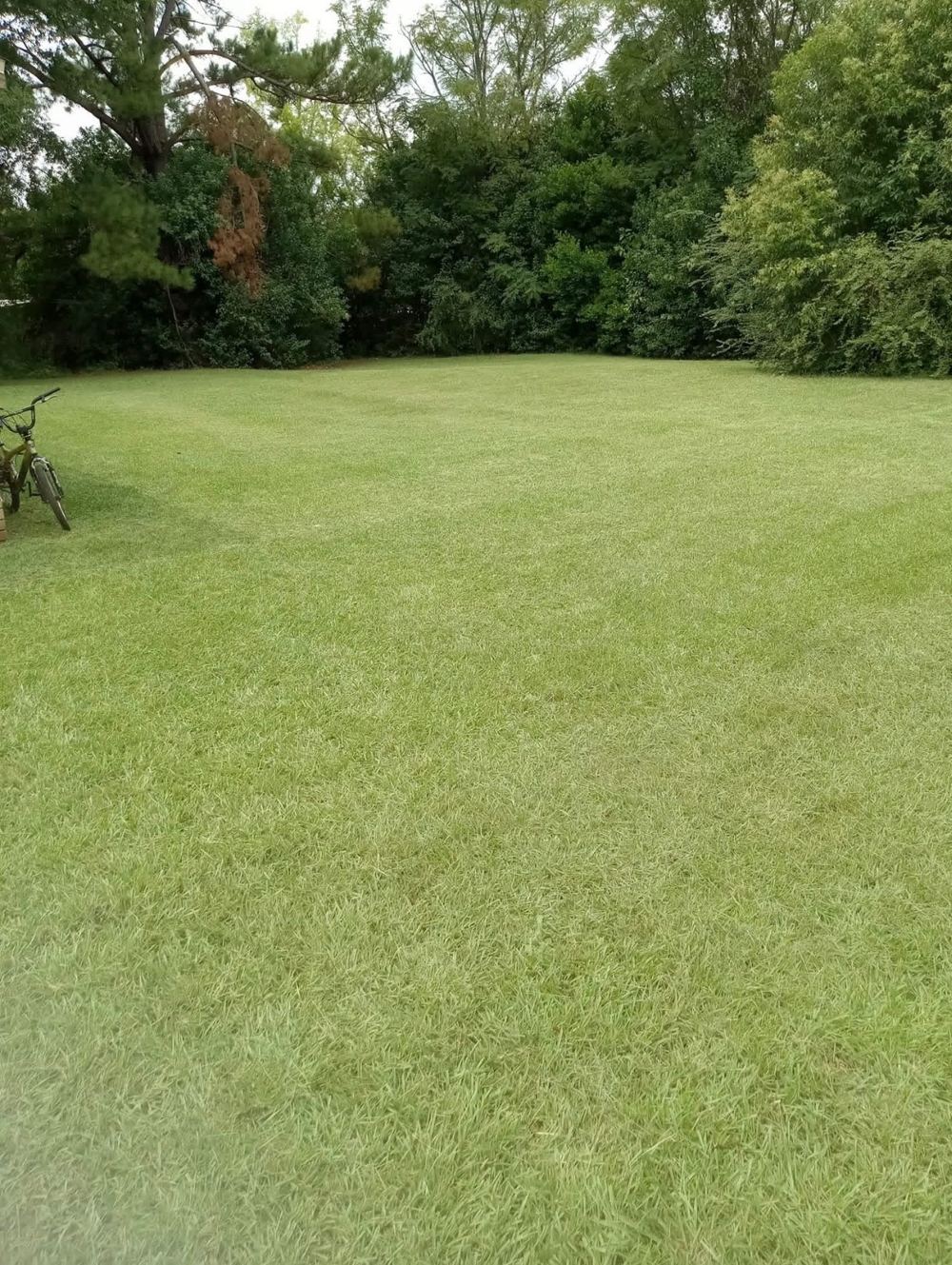 Fresh-cut striped backyard