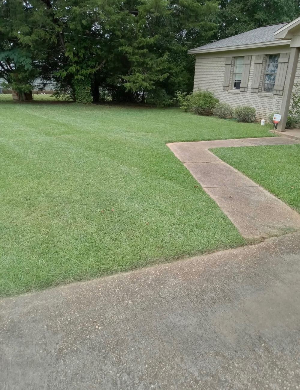 Front yard on a recurring mowing route