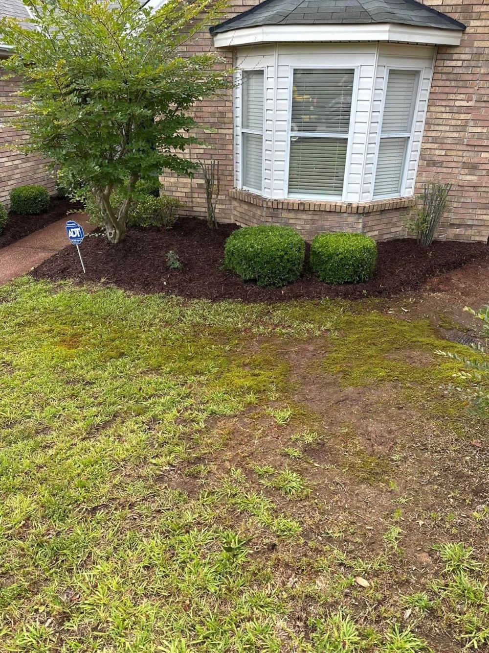 Fresh mulch and shaped shrubs at a bay window